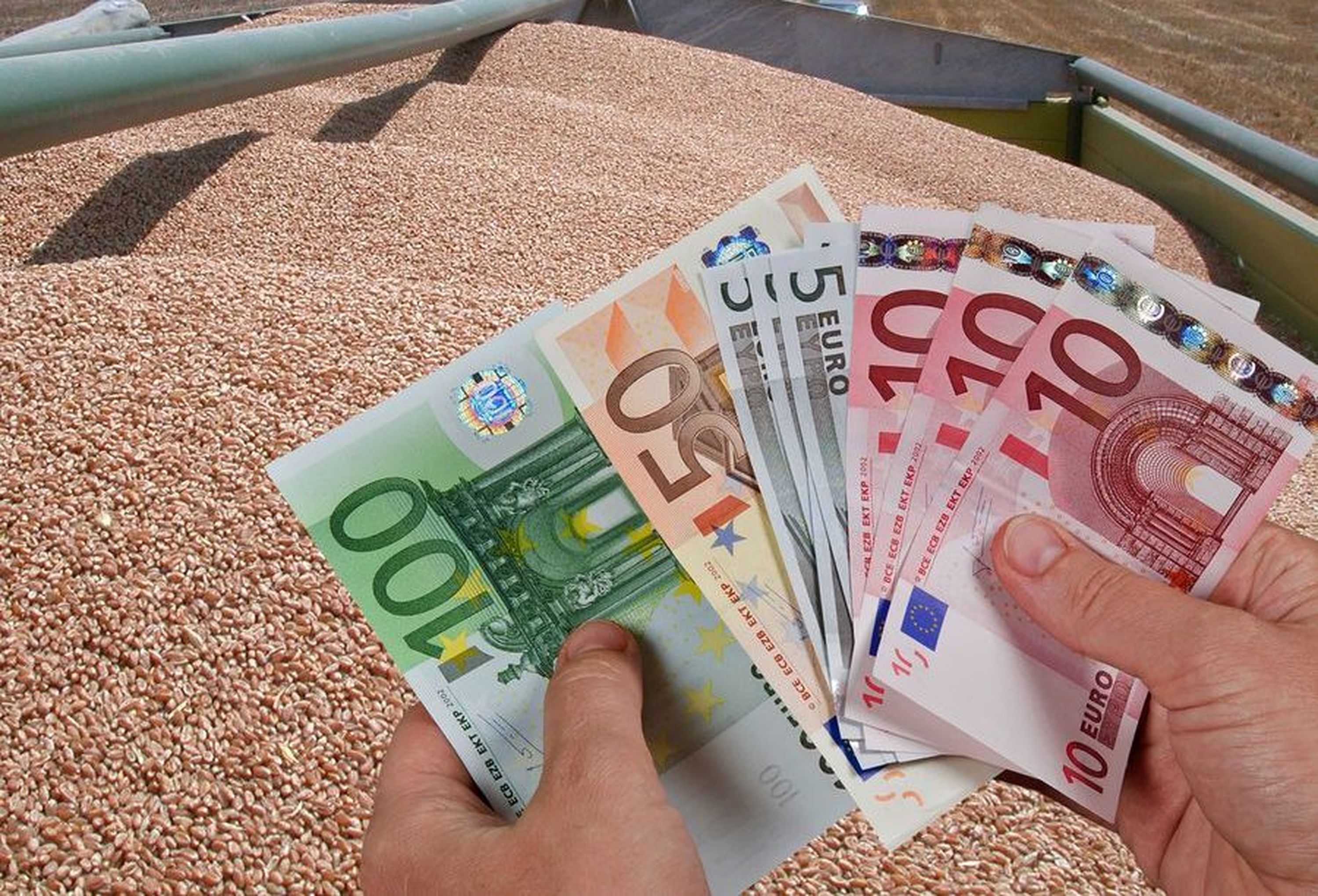 00w Weizen Preis Agrarfoto