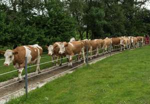 W Weidetriebweg 8 ID89573