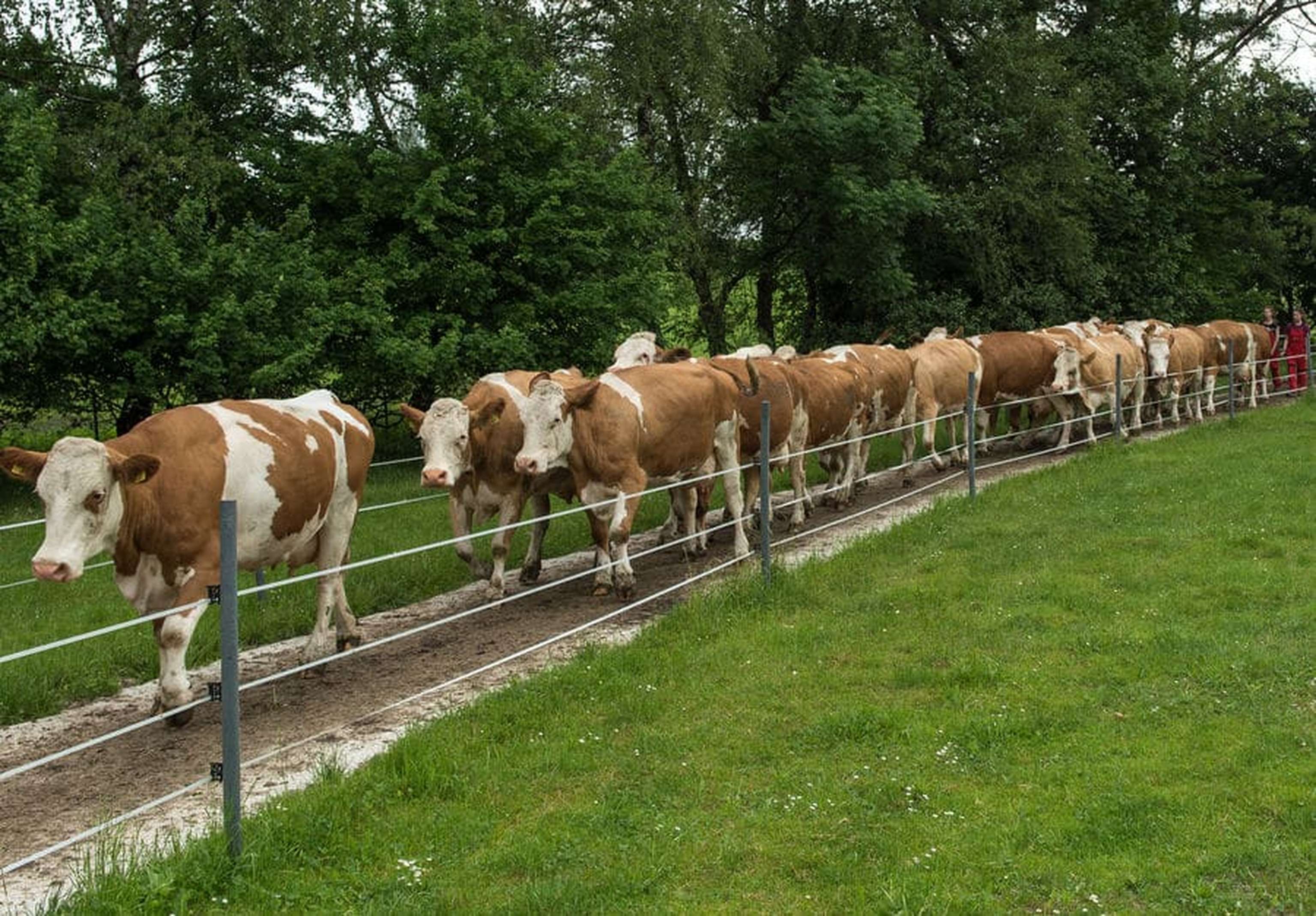 W Weidetriebweg 8 ID89573