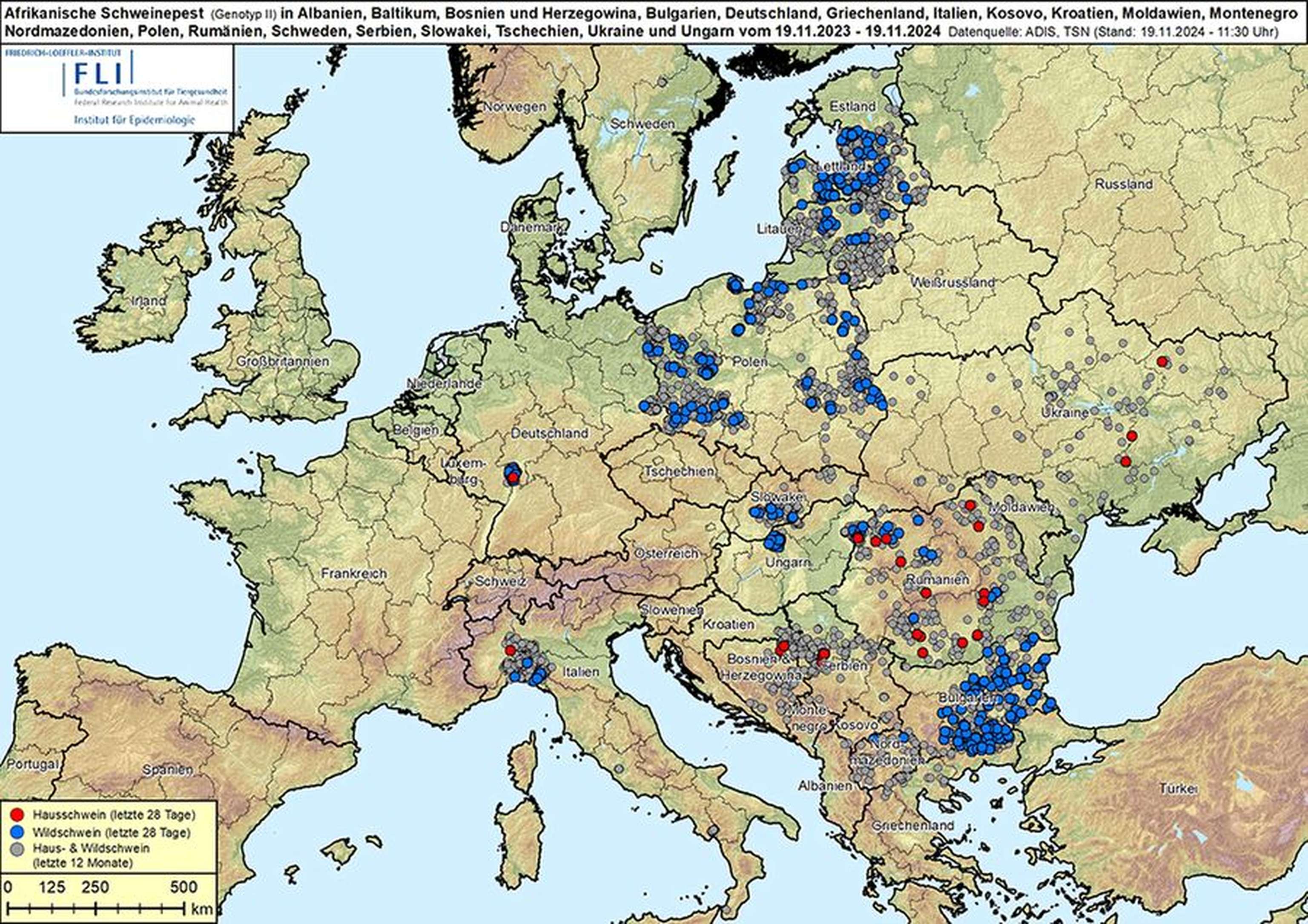 Die Afrikanische Schweinepest verbreitet sich in Osteuropa derzeit besonder rasant. (Jagd-)Reisende in diese Befallsregionen müssen Vorbeugemaßnahmen einhalten.
