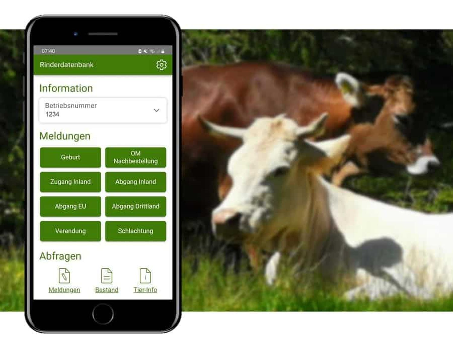 Die App steht für Apple iOS- und Android-Geräte bereit