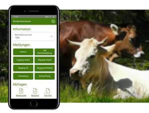 2428 W05 RinderNET Mobil App