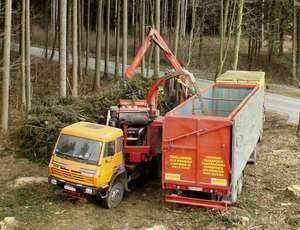 201123-Hackschnitzel_Transport_web