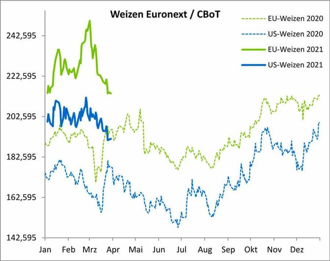 Der Weizenkontrakt an der Euronext hat im März rund 19 Euro/t verloren, hält aber immer noch deutlich über dem Vorjahresniveau.