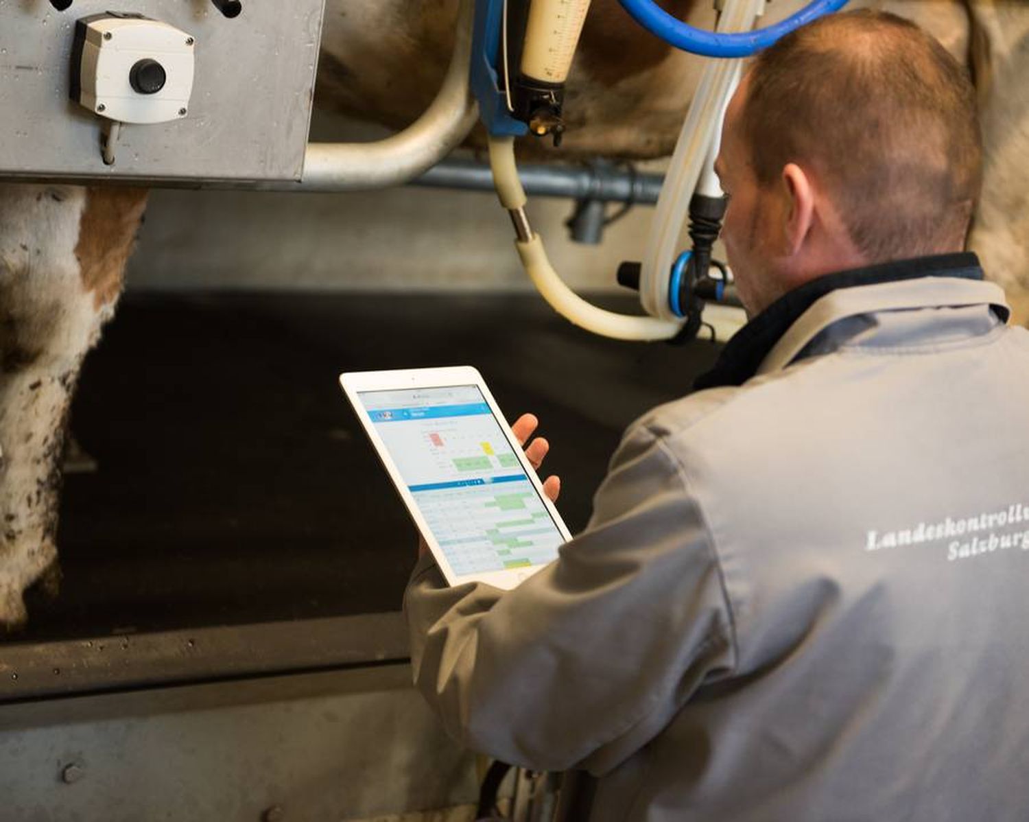 2248 W Melkstand Tablet LKVSbg