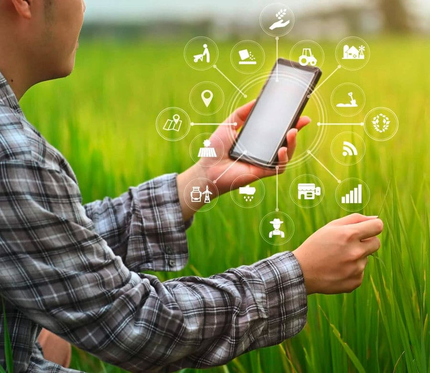 Im Rahmen der IGP-Webinare werden die Potenziale von Innovationen für eine produktive Landwirtschaft erörtert.