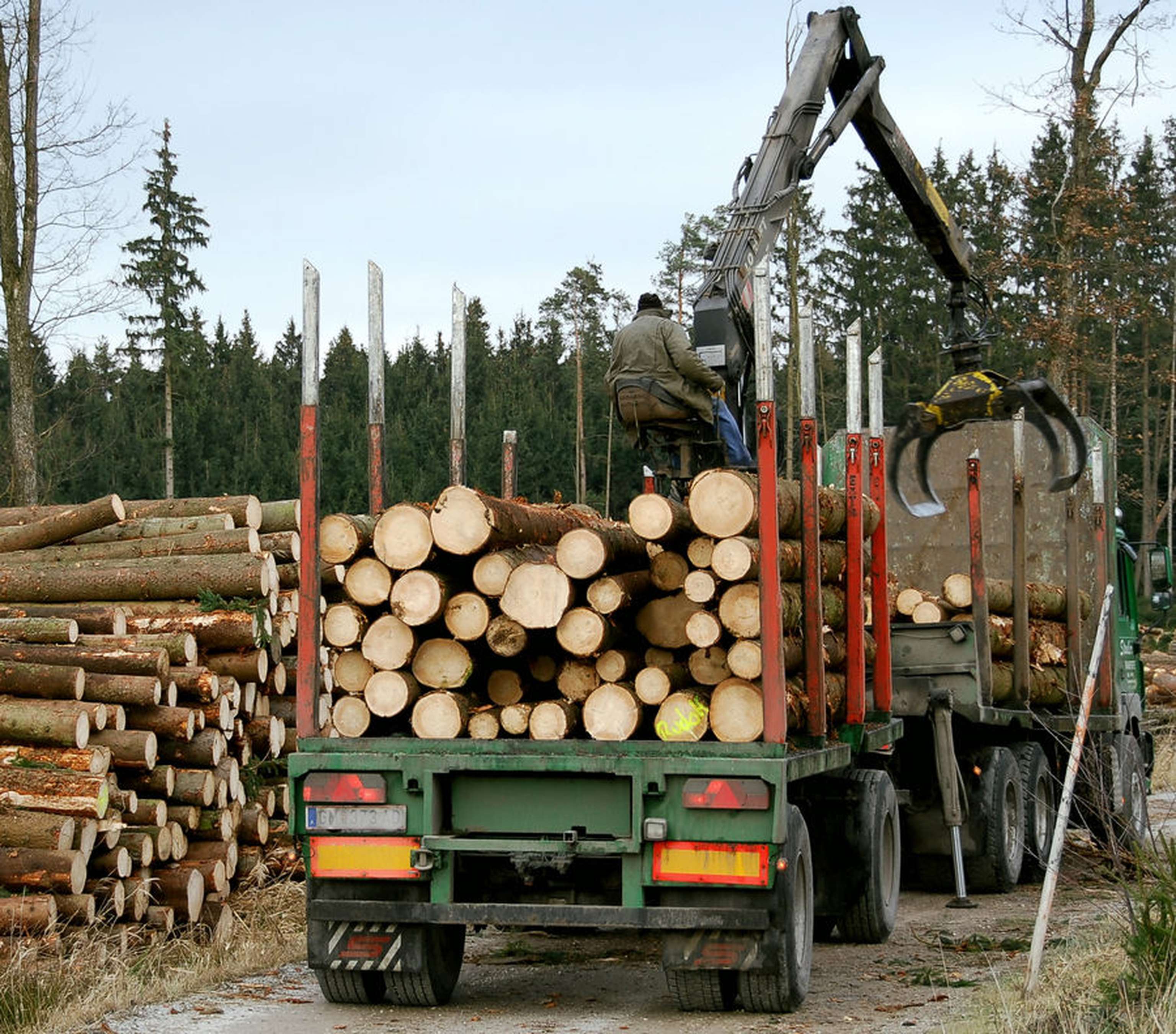 230223 Holzverladen C Agrarfoto