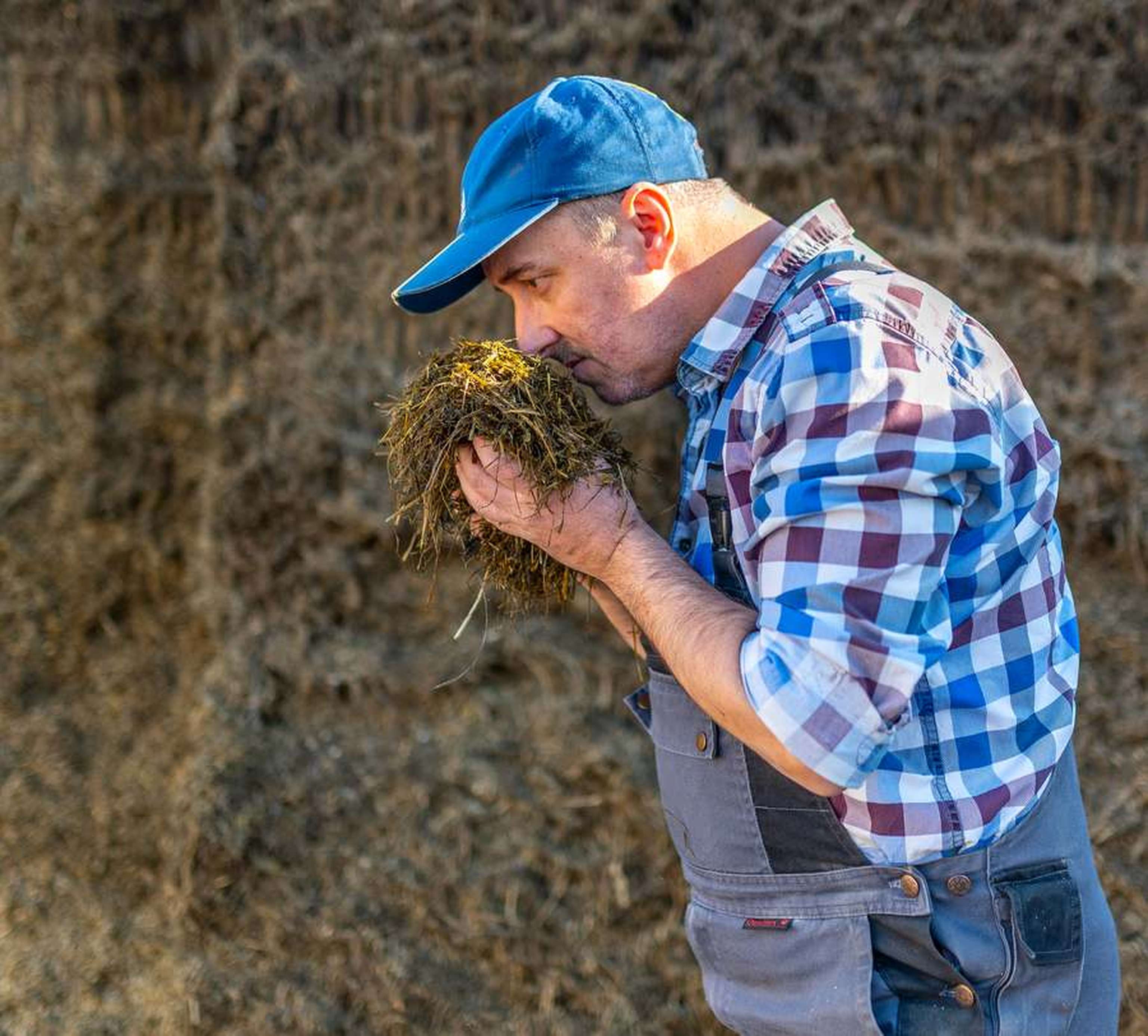 W Grassilage Pruefen