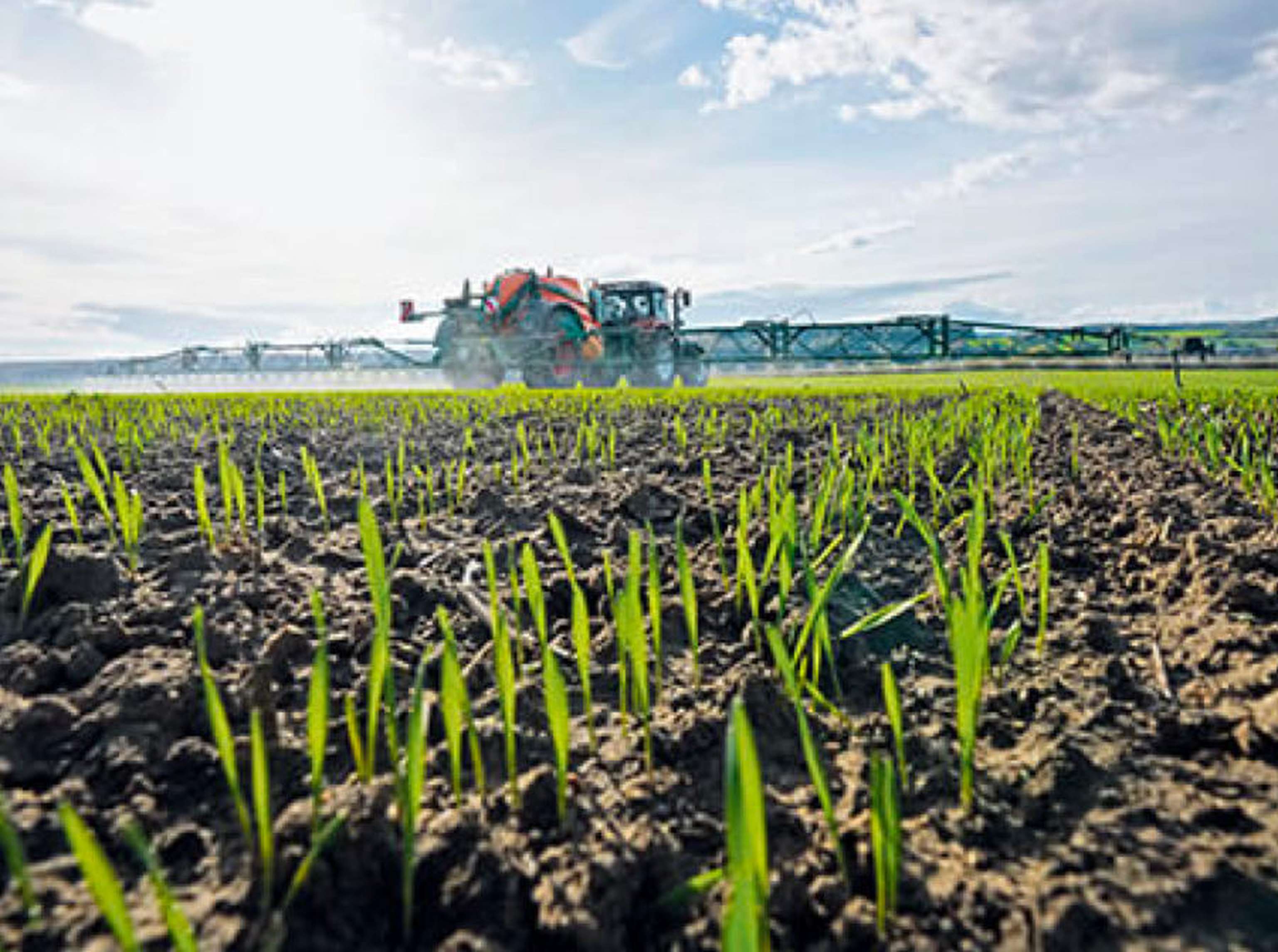 #w Nutribio N Syngenta Com Slide 4