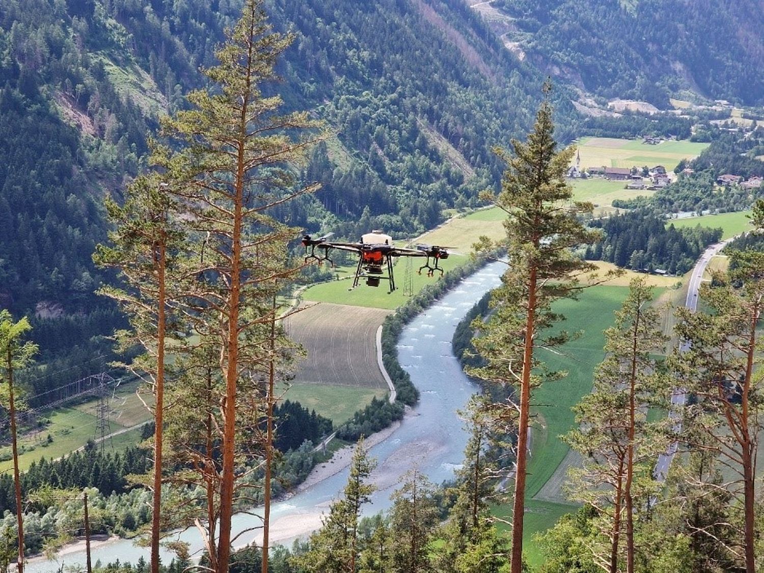 Wiederbewaldung Drohne