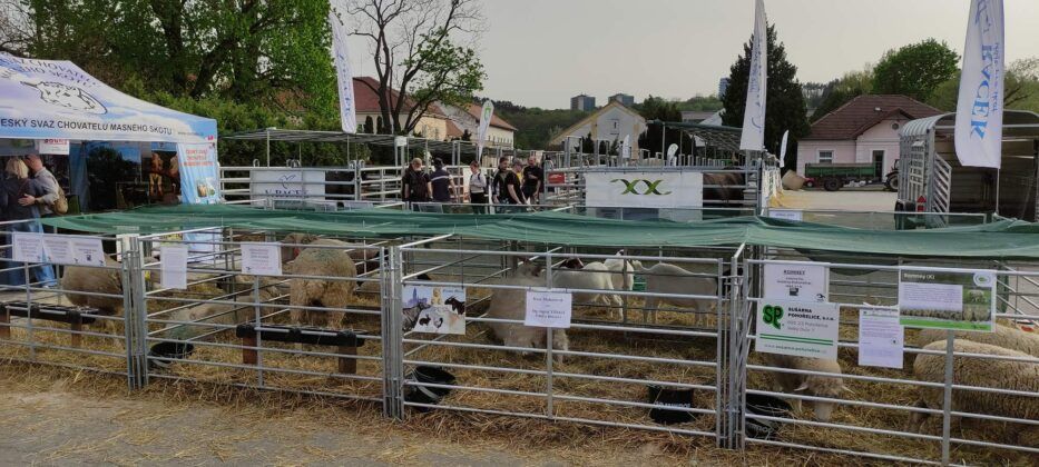 Tierschau