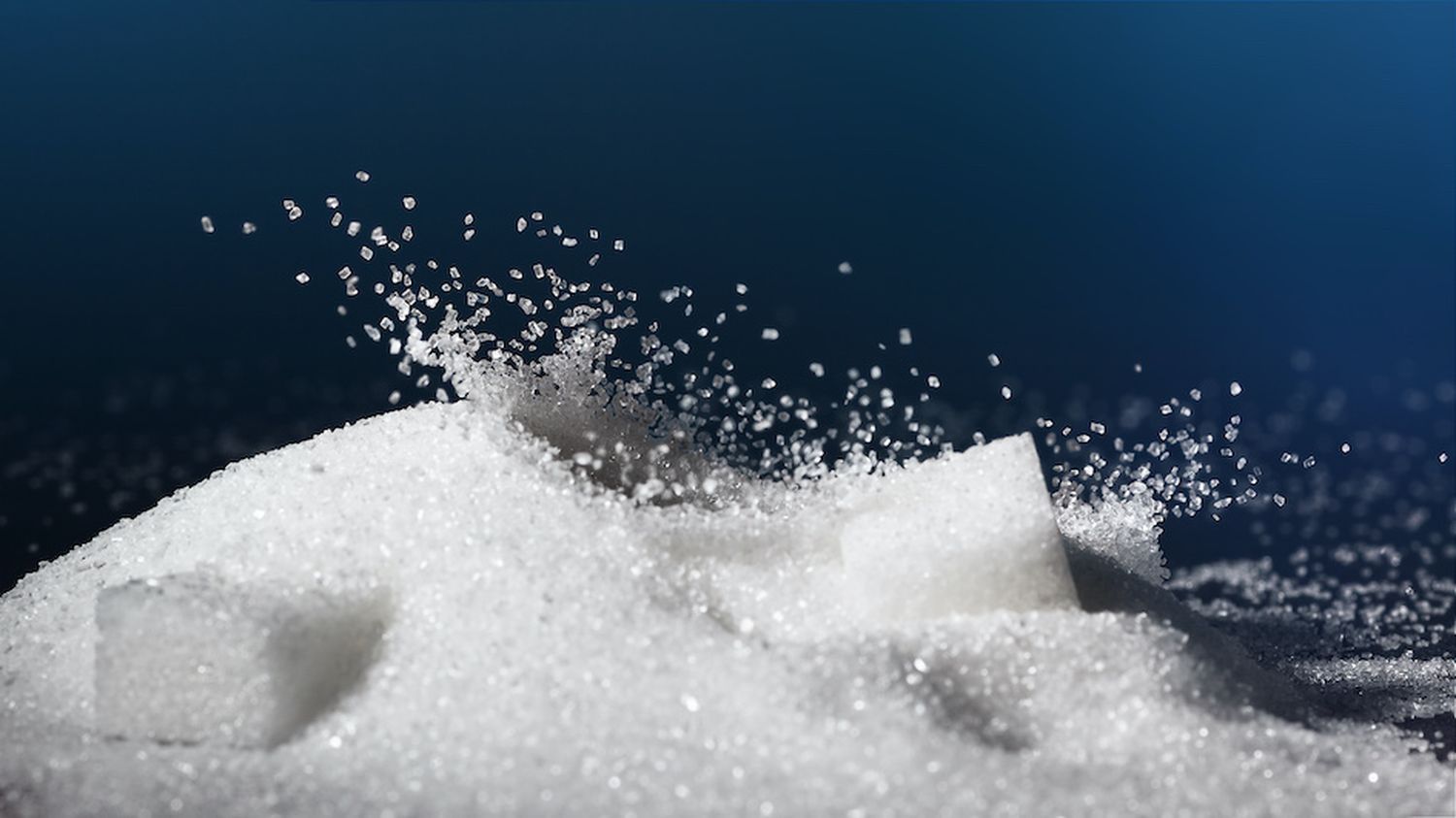 Speedy Sugar