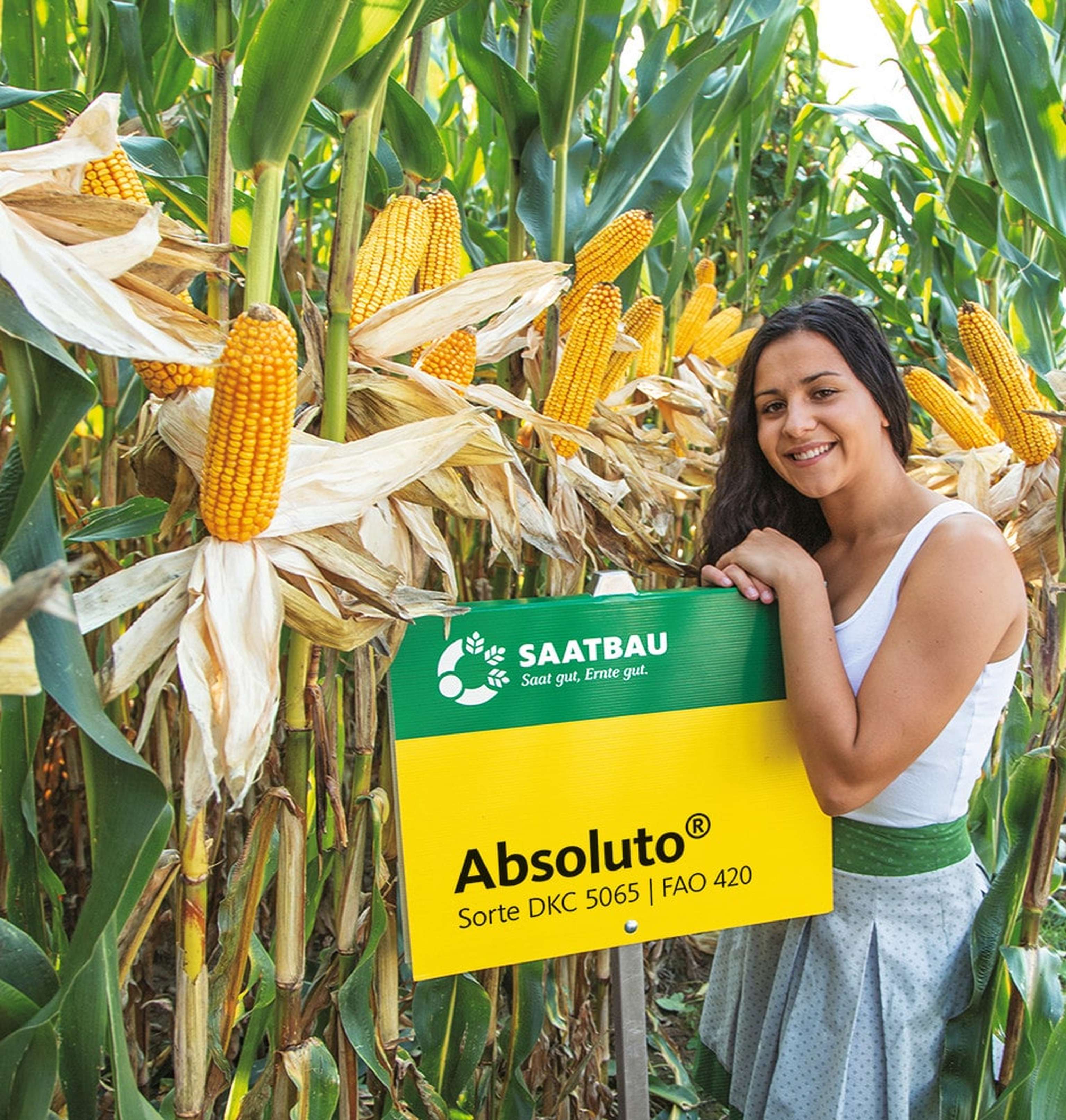 Klimafitte Sorte von Saatbau