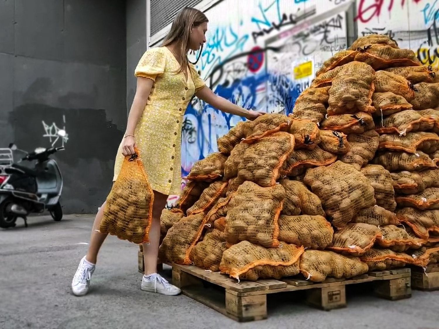 Die zwei Tonnen Erdäpfel waren am Wiener Donaukanal bei “dasWerk” abzuholen. Eine “Portion” (bis zu 3 x 5 kg) hat drei Euro gekostet.