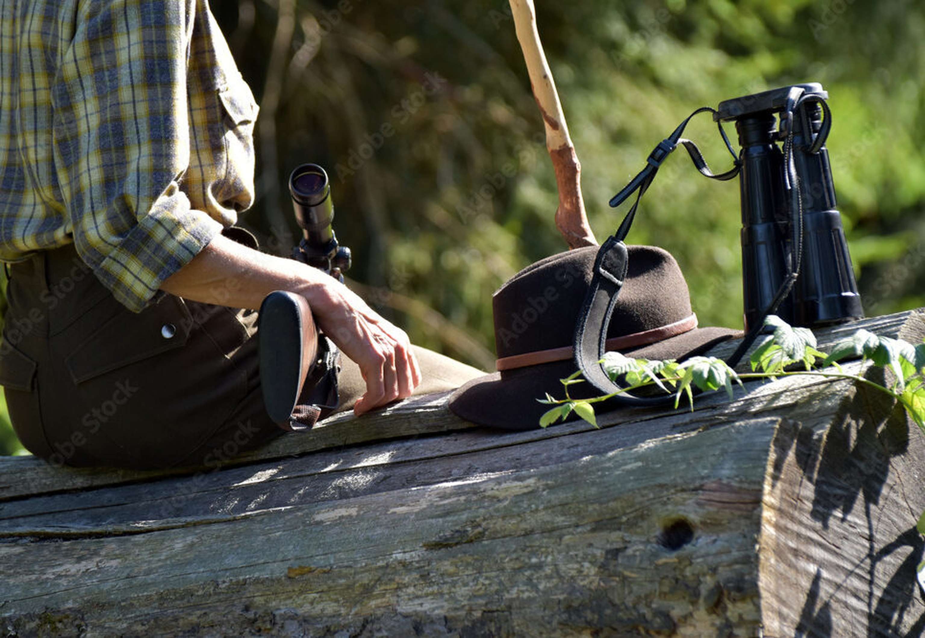 AdobeStock 237125933 Preview