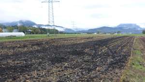 Herbstdüngung