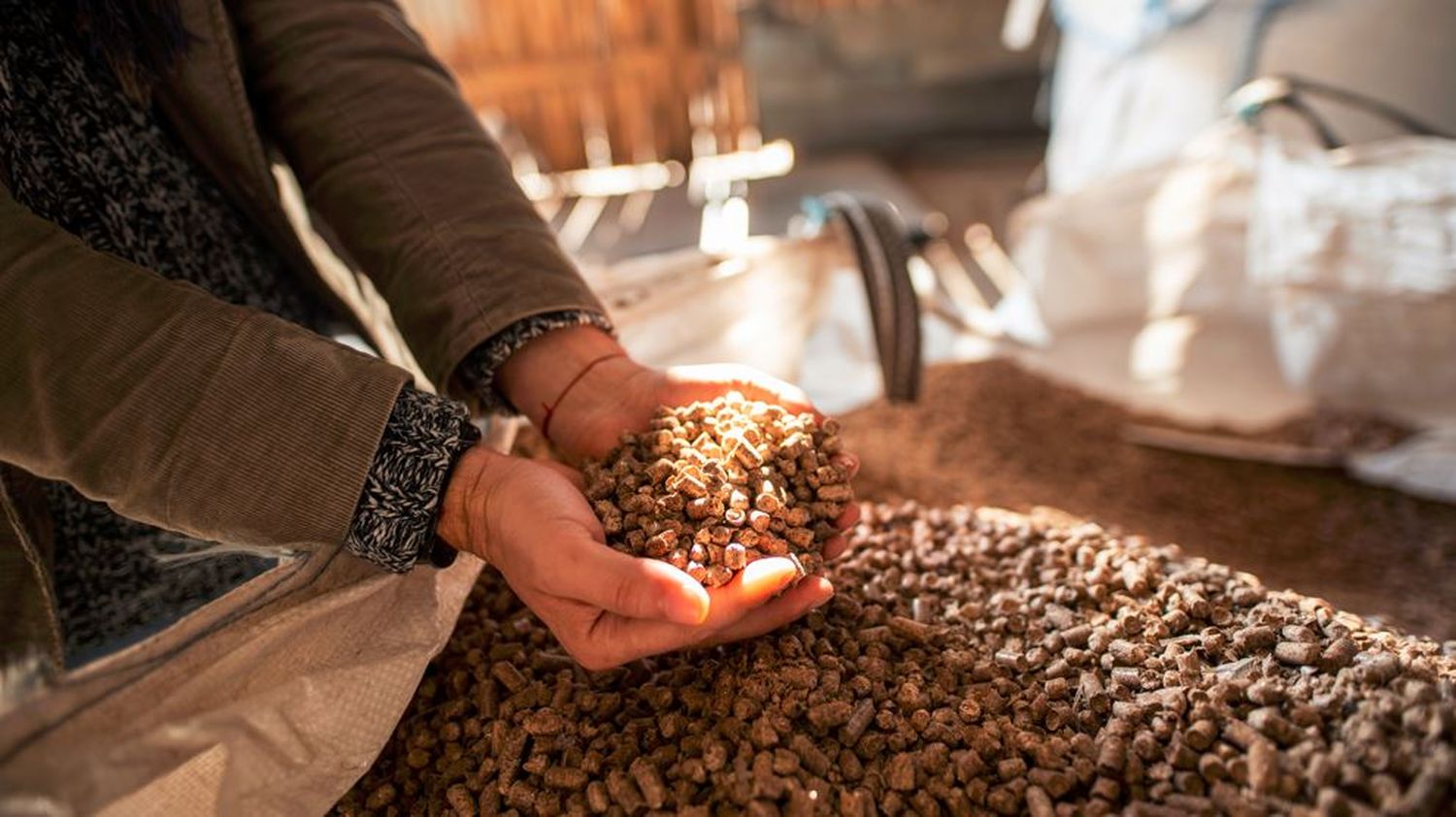 Holzpellets