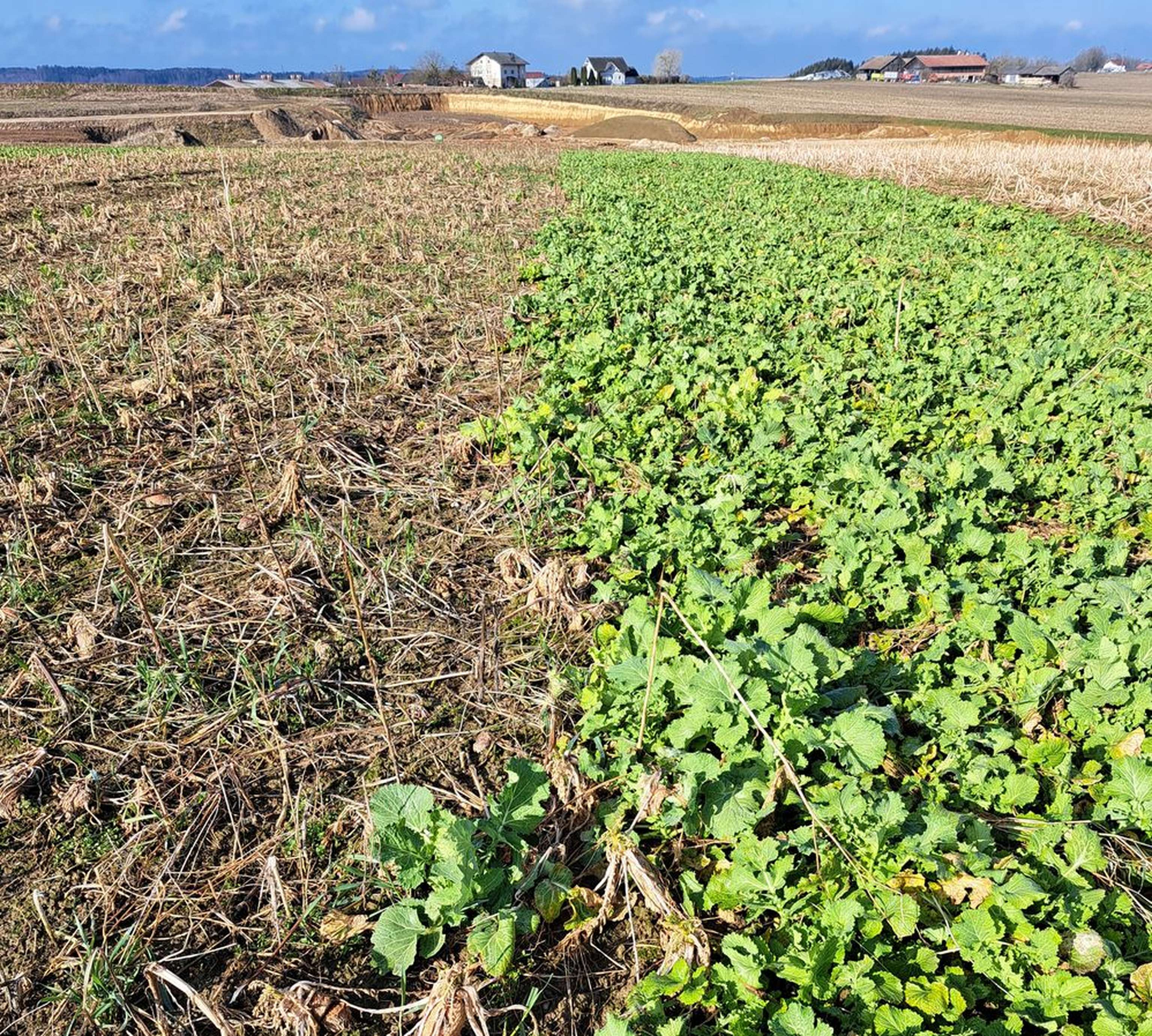 2322 W So Wi BegruenungAbb. 1