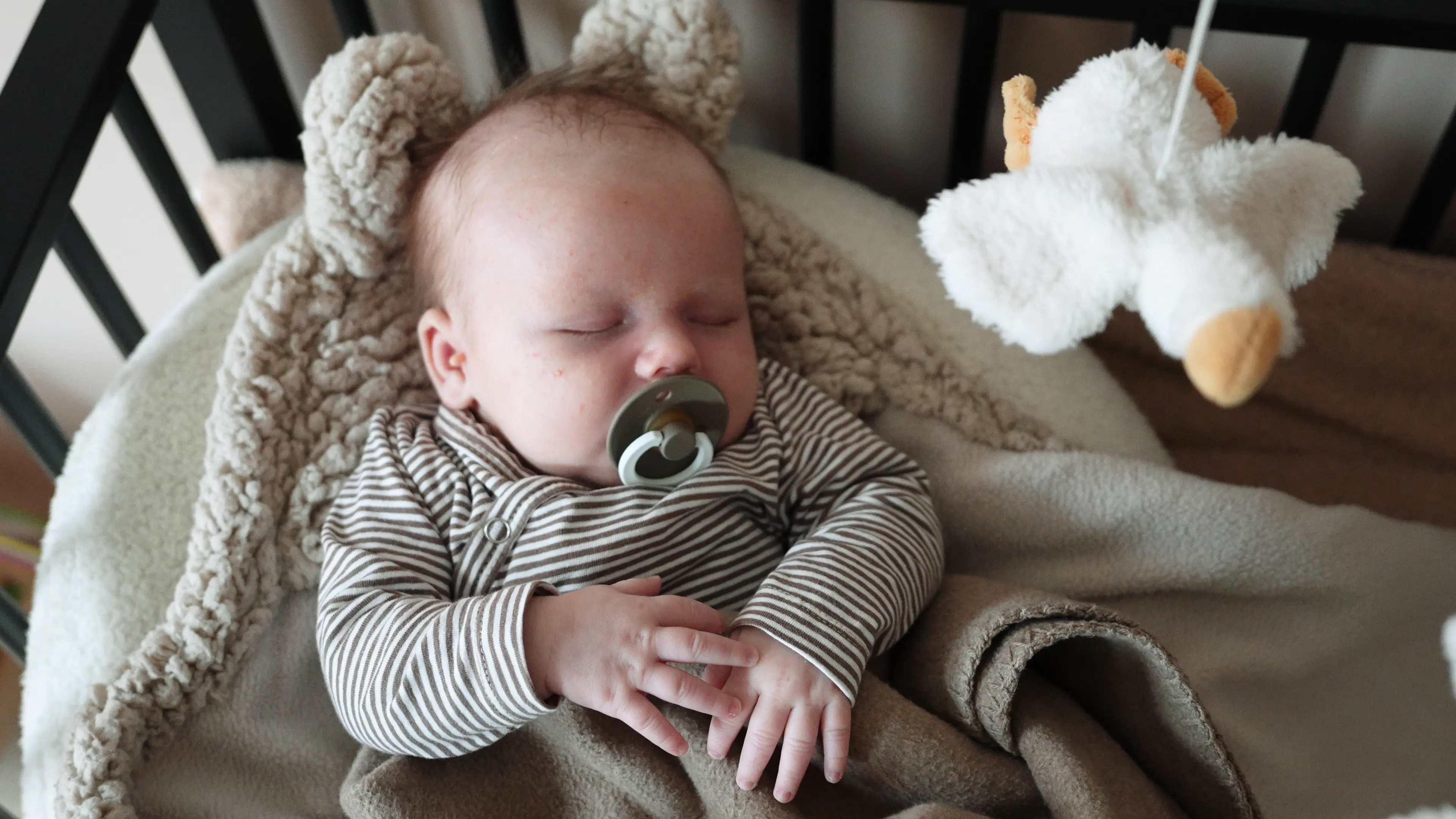 Newborn