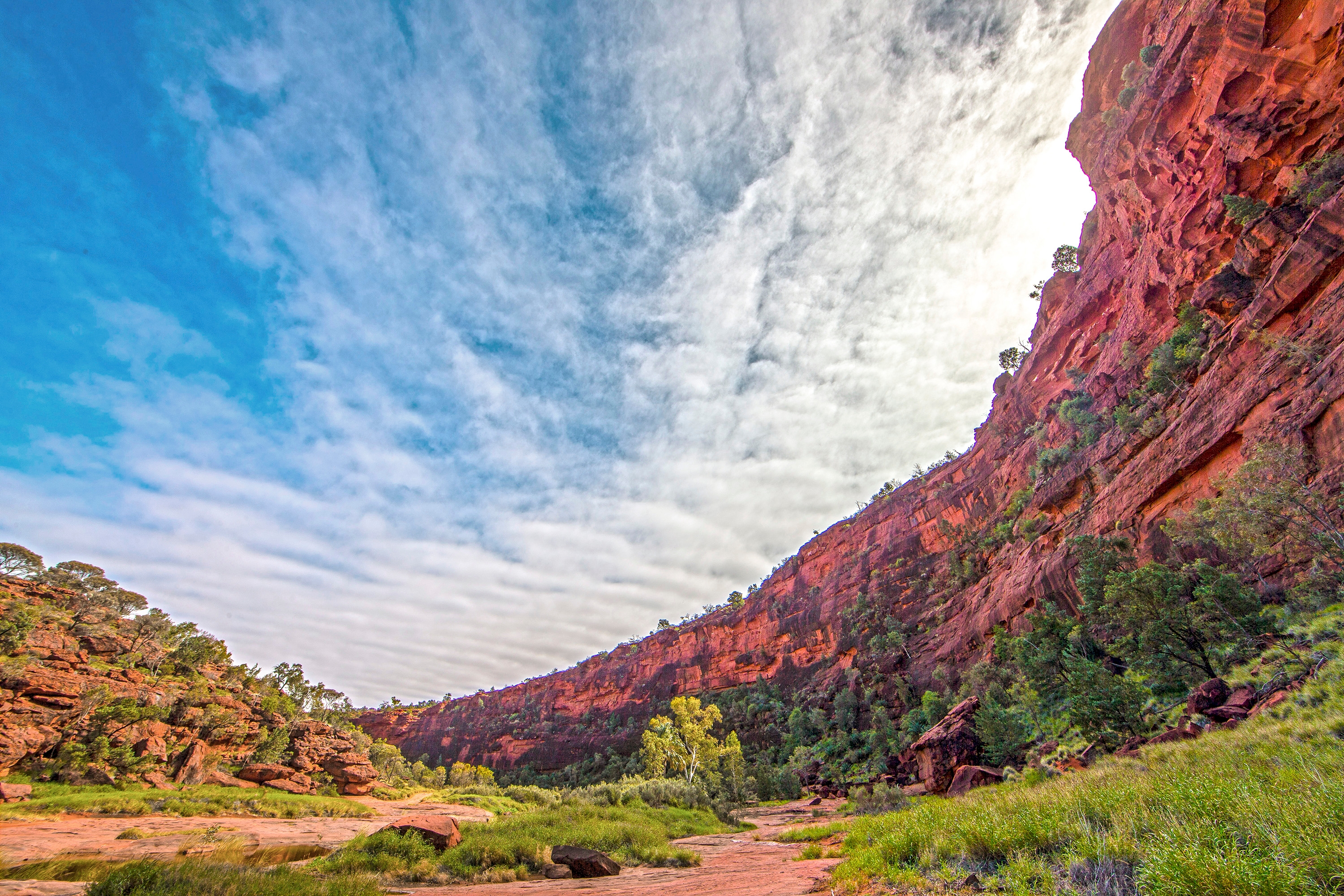 Finke Gorge National Park | Things to do in Finke Gorge National Park