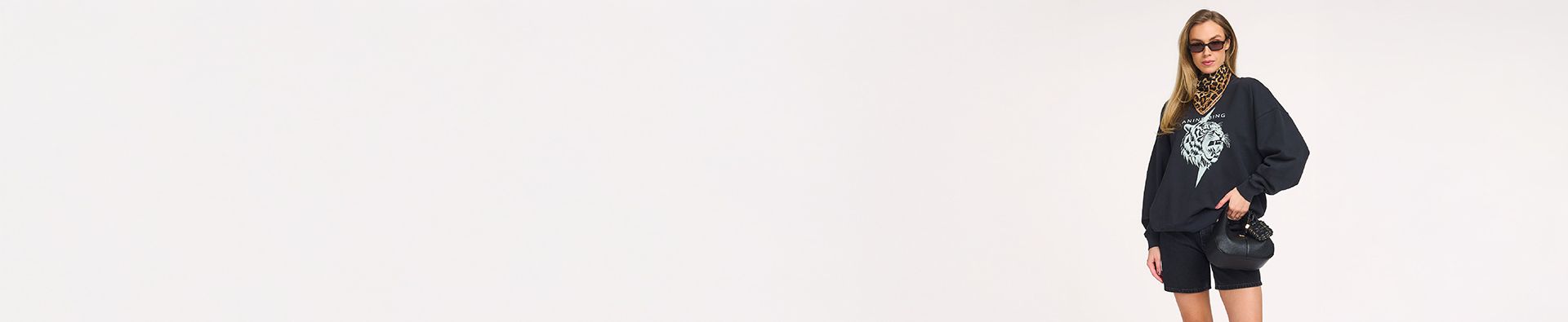 Category hero banner image