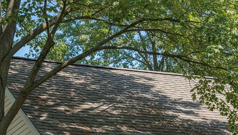 Older asphalt shingle roof under tree shade