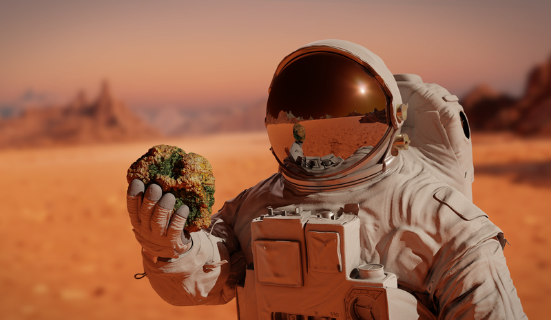 Astronaut in a spacesuit holding a rock with moss, standing on a barren, reddish desert landscape with distant rock formations.