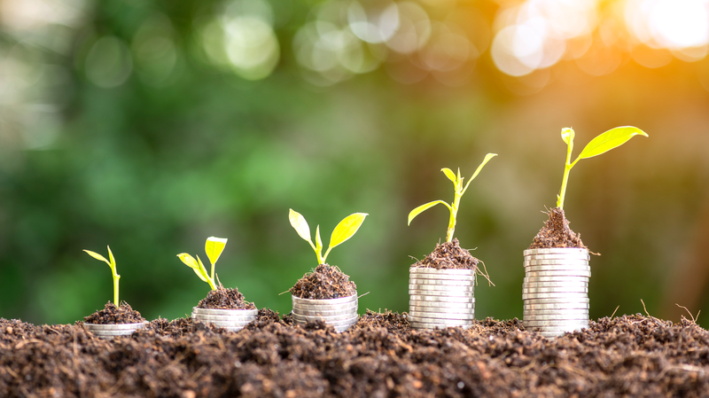 Young plants growing from stacks of coins in soil, symbolizing financial growth and investment, with a blurred green background and sunlight.