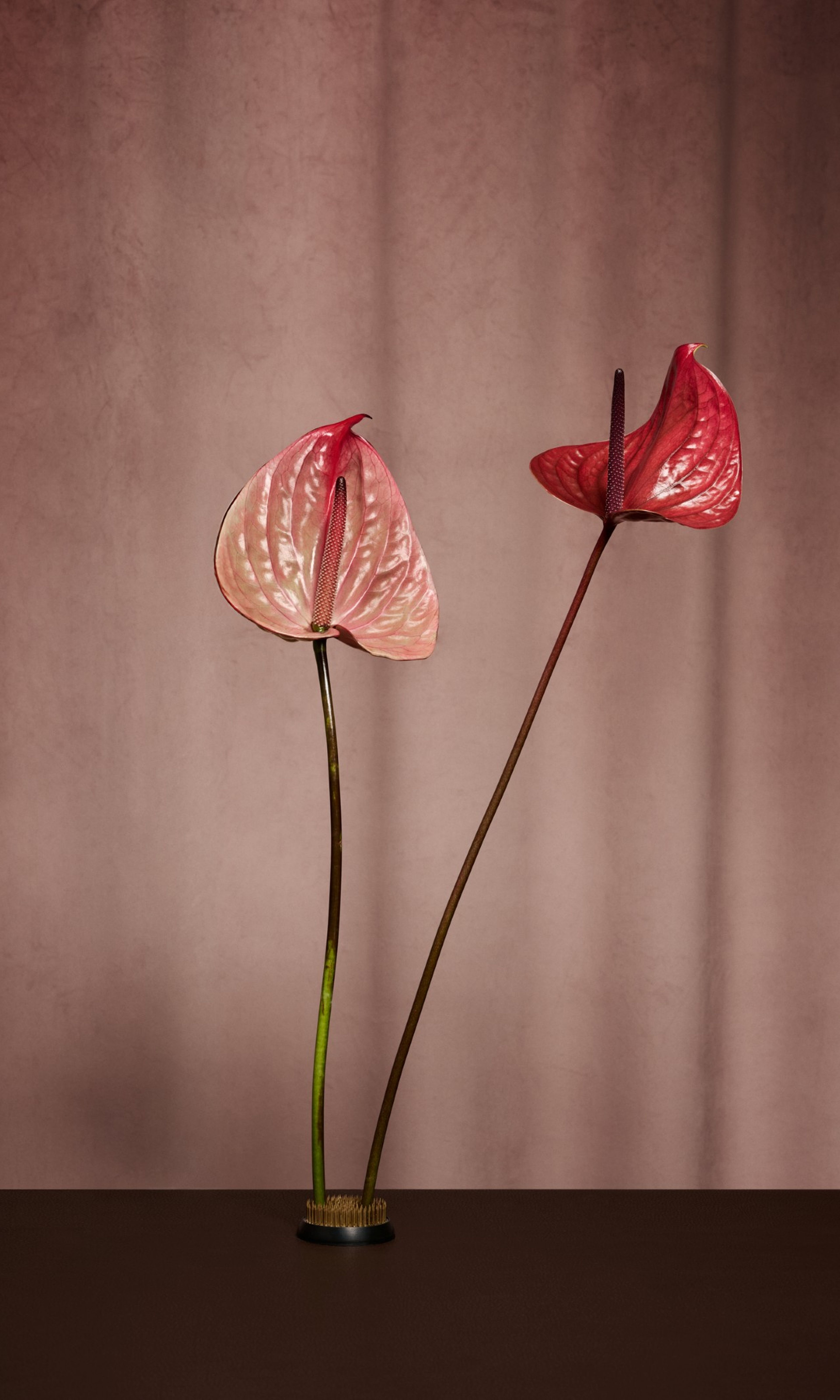 sushi, valentines day