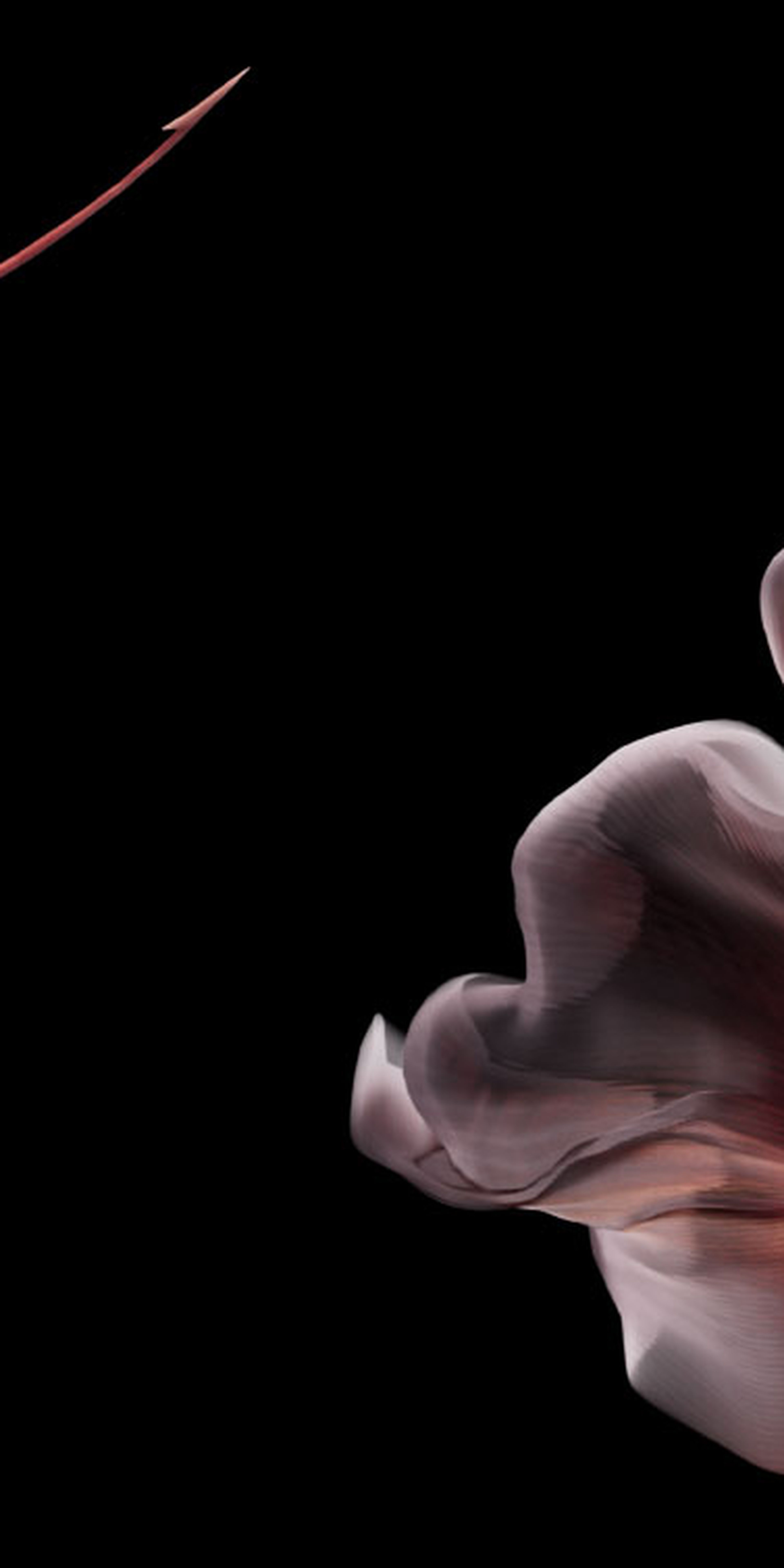 Header Frequent Fisher