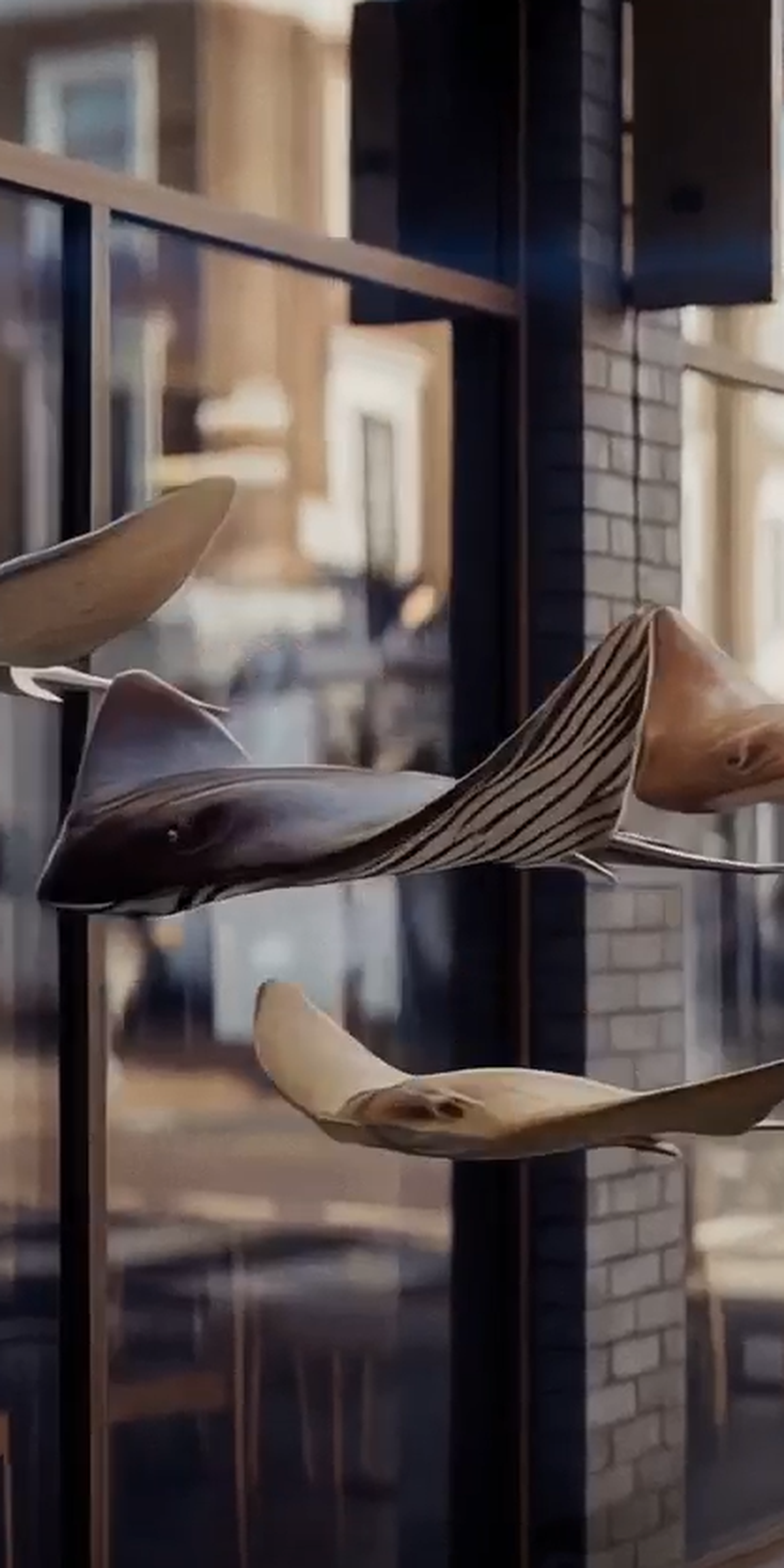 Easter Fish video - Join us