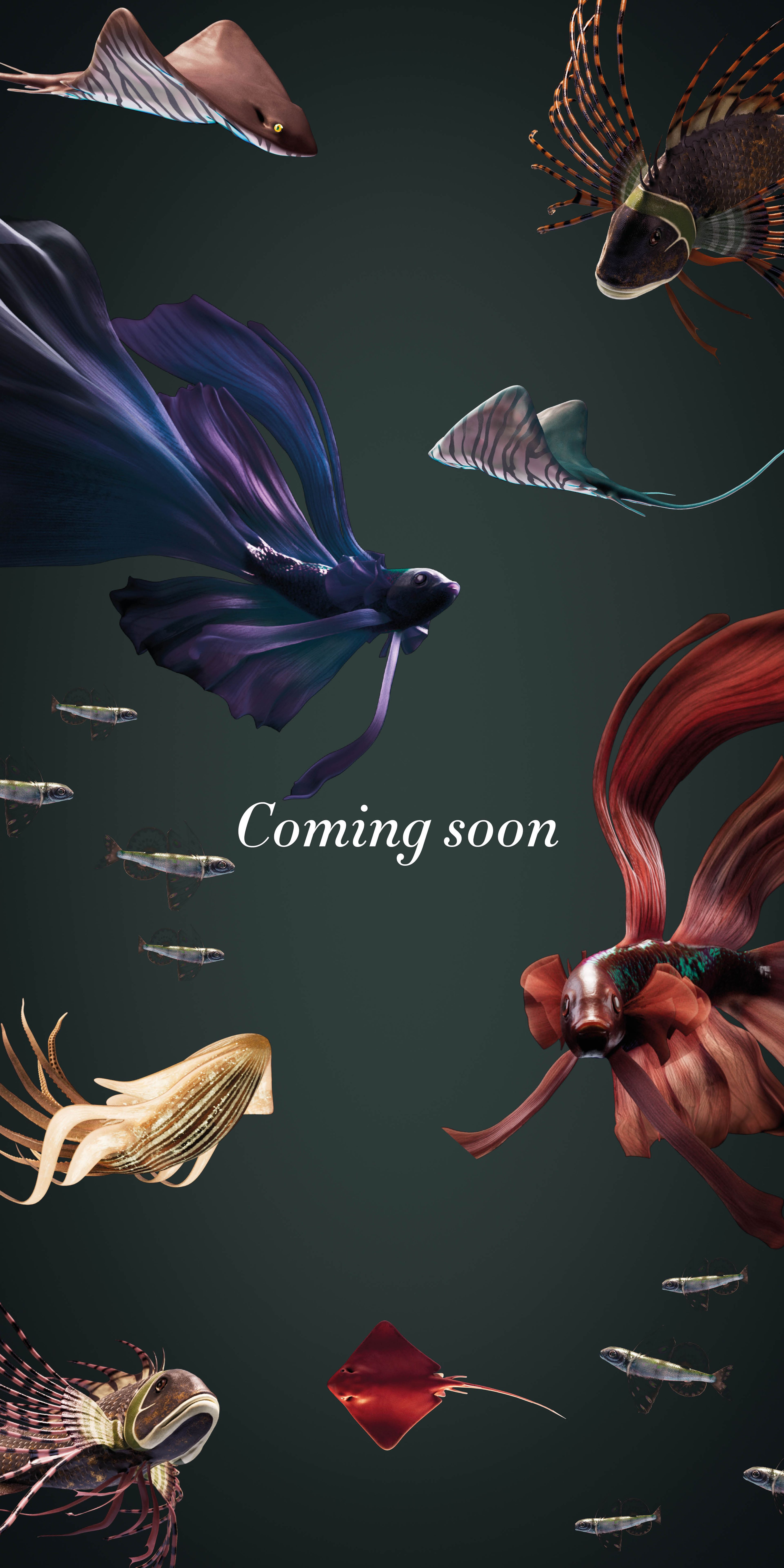 Fishes swimming to an announcement to open Leeds soon