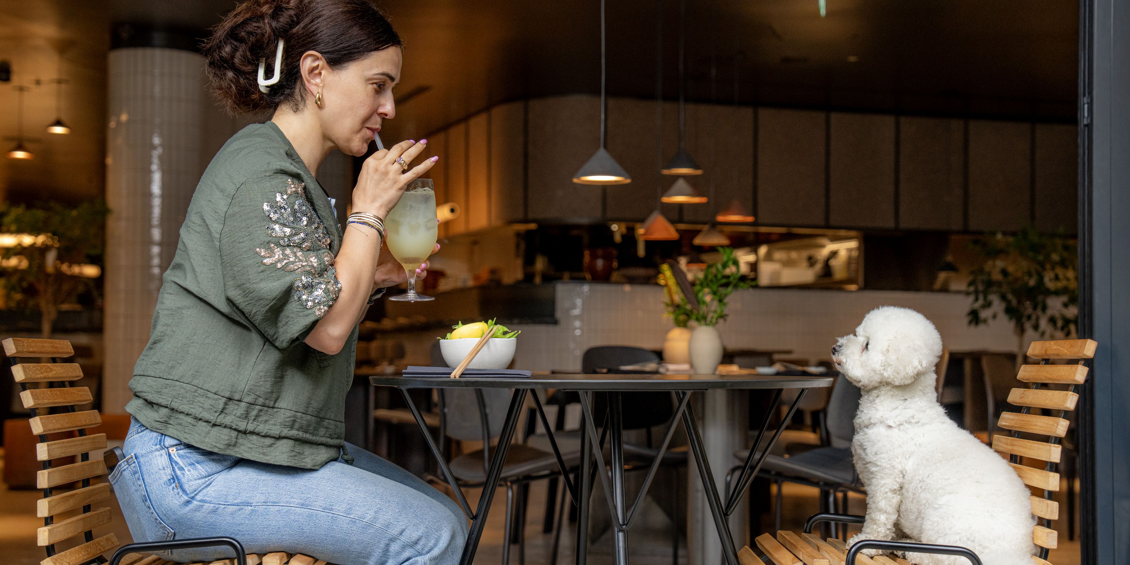 dog, dog-friendly, restaurant