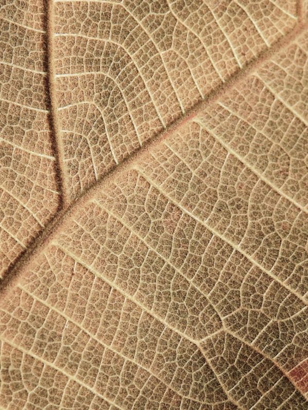 What causes menopause vaginal dryness and itchiness?