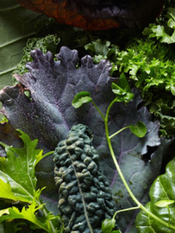 How to not hate…dark, leafy greens