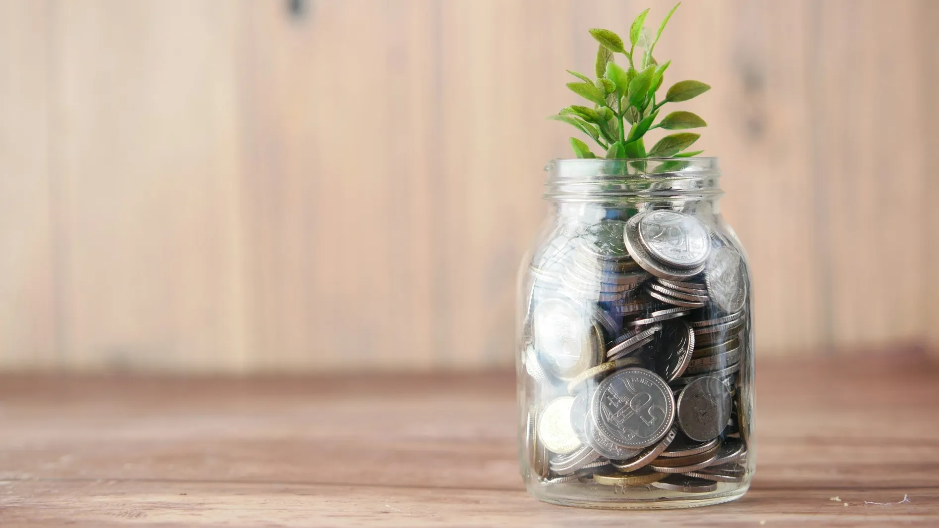 A glass jar filled with coins and a small green plant on top