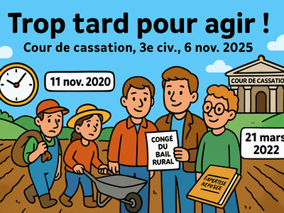 Baux ruraux : Arrêt de la Cour de cassation, troisième chambre civile, 6 novembre 2025, n° 24-19.704