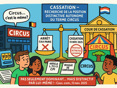 Propriété industrielle : Arrêt de la Cour de cassation, chambre commerciale, 13 novembre 2025, n° 24-10.672