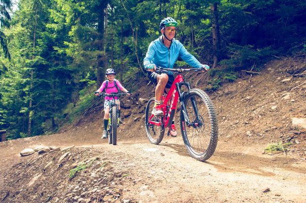 Trail Wald Mountainbiker 