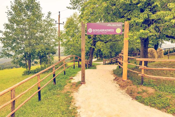 Tor Zaun Schild Wiese