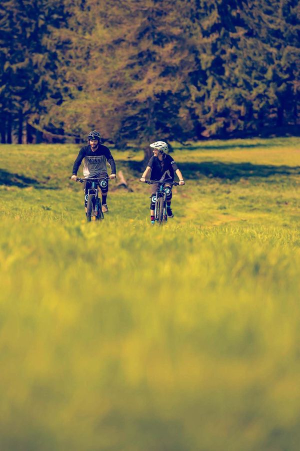 Wiese Feld Bäume Mountainbiken 