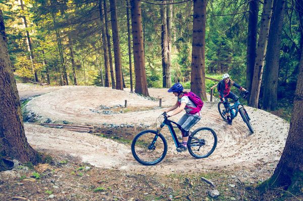 Kurven Mountainbiker Bäume