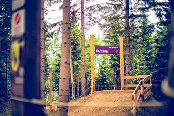 Baum Tor Schild Trail