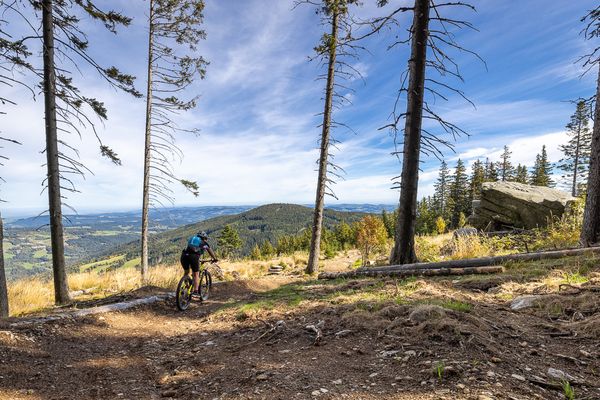 Mountainbiketrail in Mönichkirchen