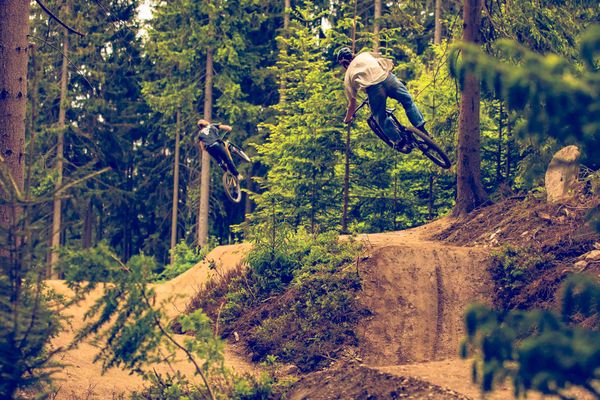 Wald Sprünge Hügel