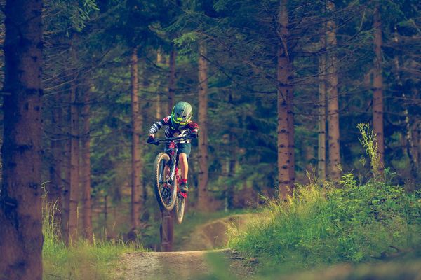 Sprung Wald Biker