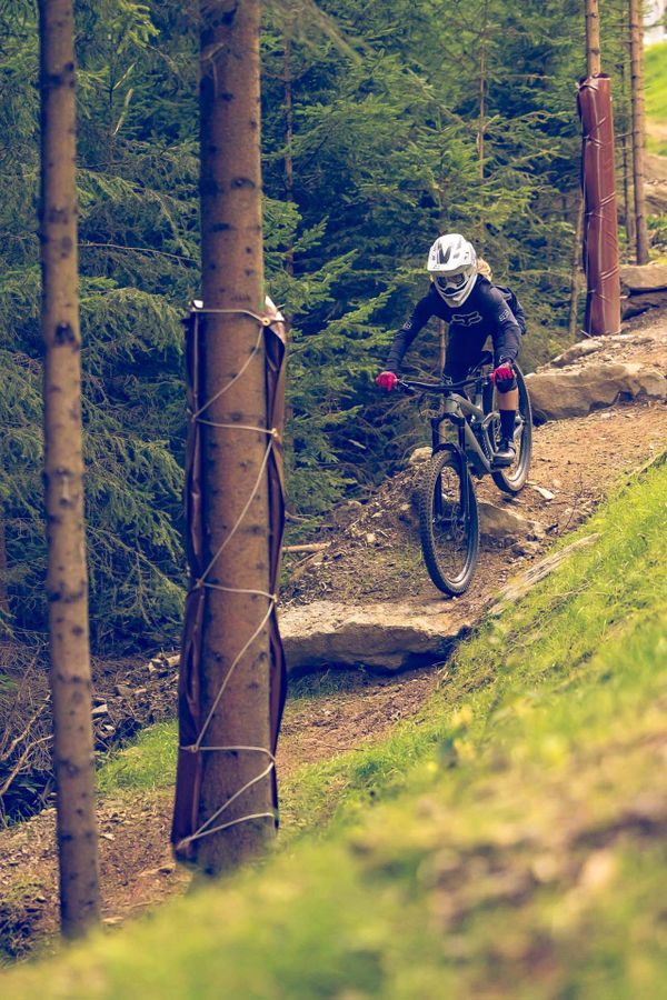 bergab Steine Bäume