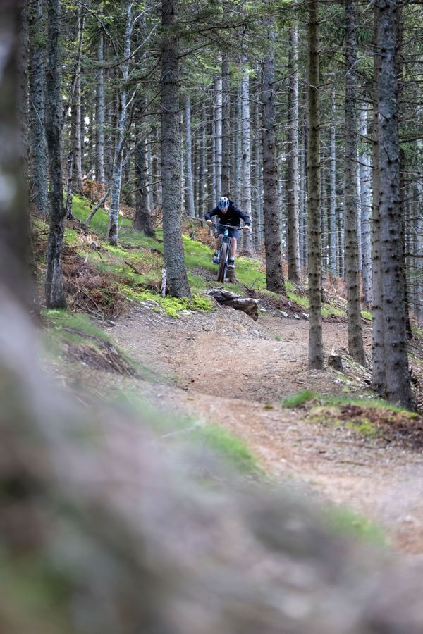 Mountainbike Trail in Niederösterreich