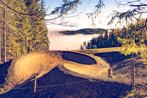 Trail Bäume Wiese Nebel