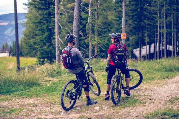 Wald Bäume Mountainbiker 